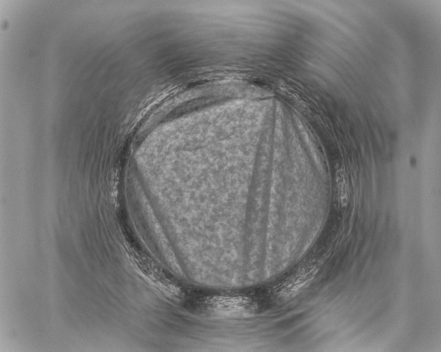 X0000058760255200510211705