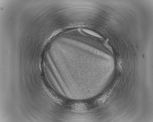 X0000058760256200510211705