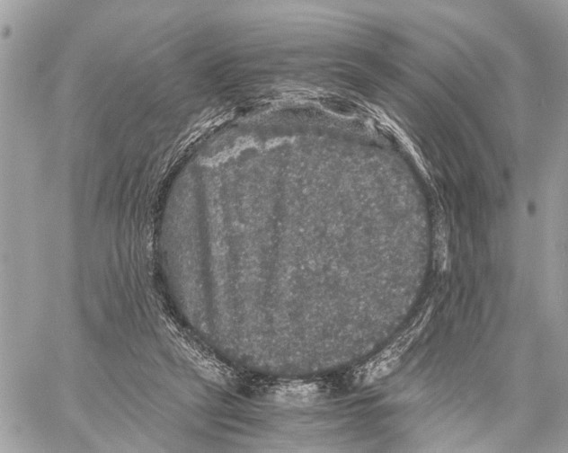 X0000058760257200510211705