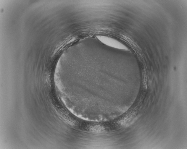 X0000058760258200510211705