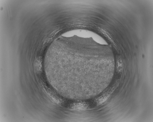 X0000058760259200510211705