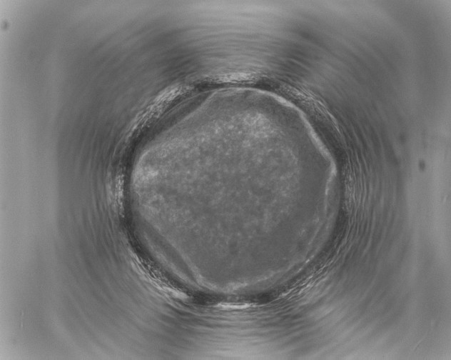 X0000058760260200510211705