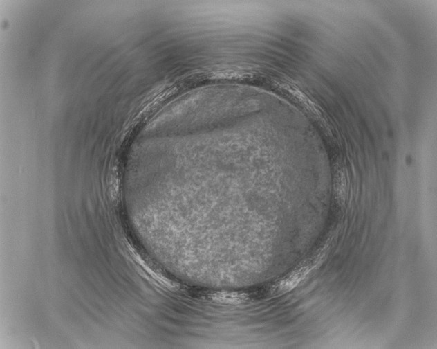 X0000058760261200510211705