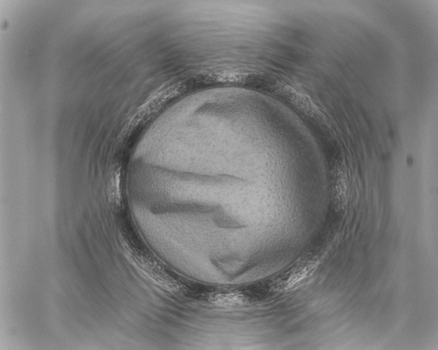 X0000058760262200510211705