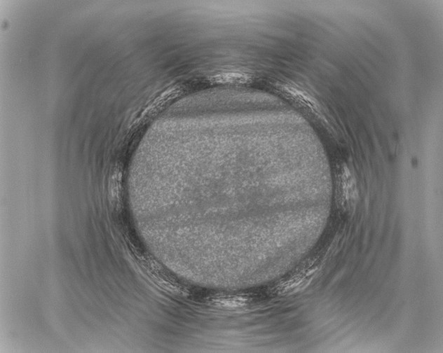 X0000058760263200510211705