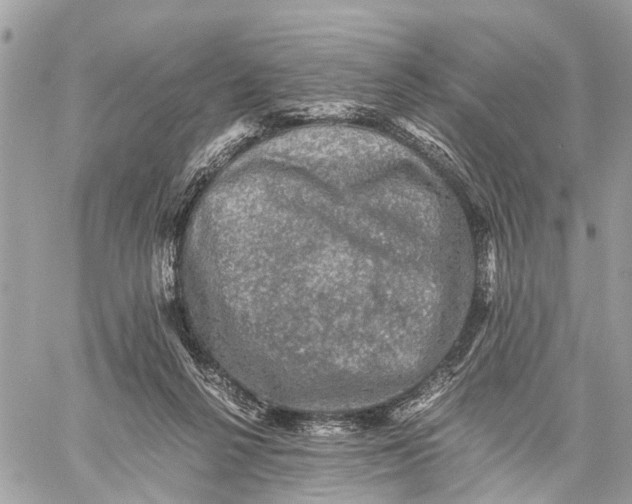 X0000058760264200510211705