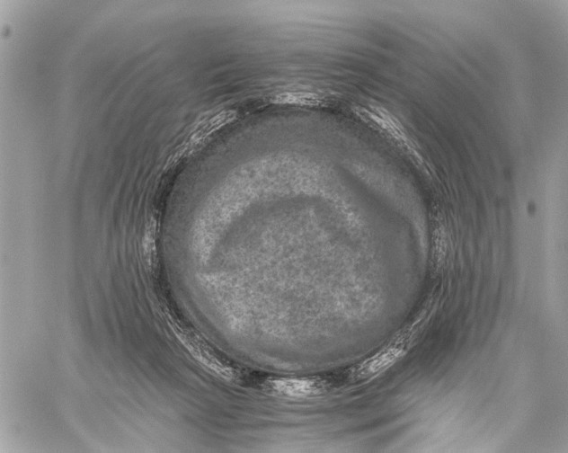 X0000058760265200510211705