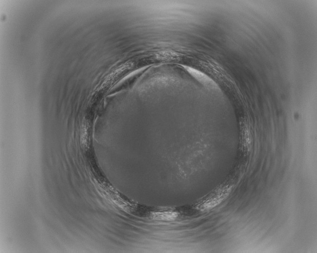 X0000058760266200510211705