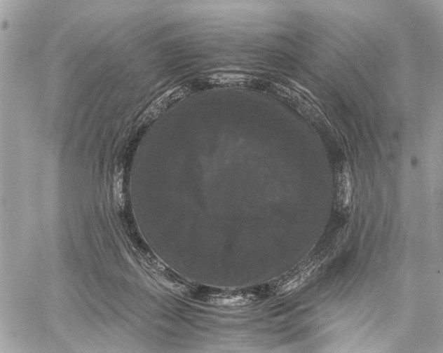 X0000058760267200510211705