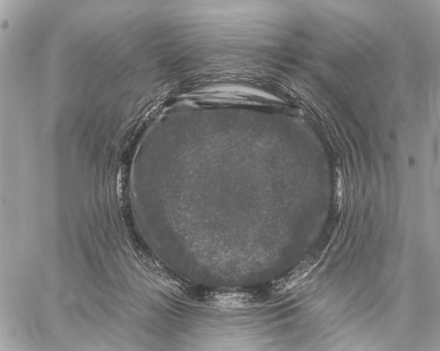 X0000058760268200510211705