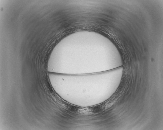 X0000058760269200510211705