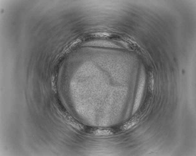 X0000058760270200510211705