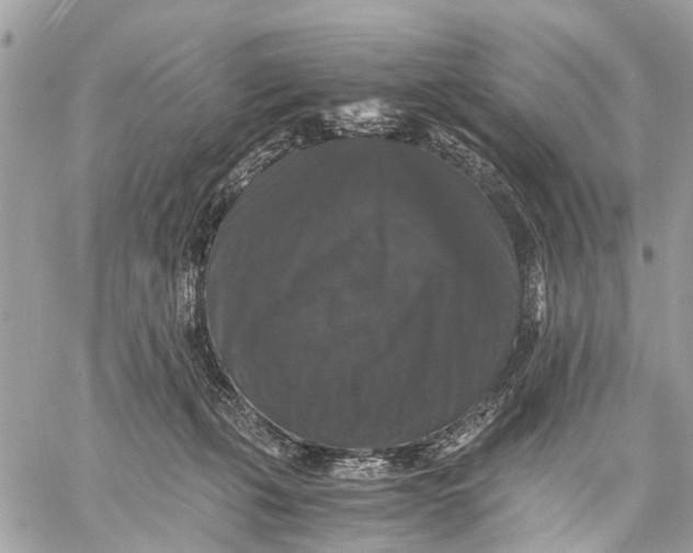 X0000058760271200510211705