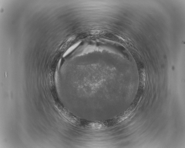 X0000058760272200510211705