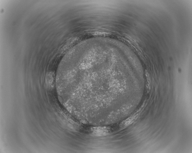 X0000058760273200510211705