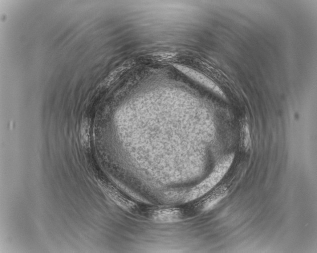 X0000058760274200510211705