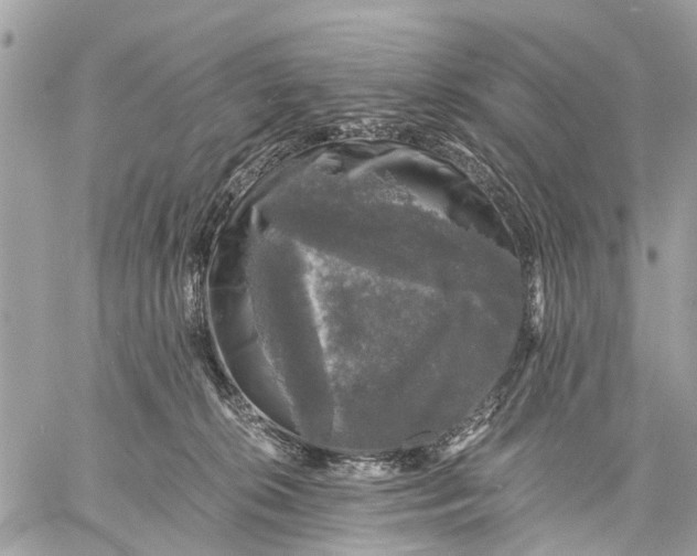 X0000058760276200510211705