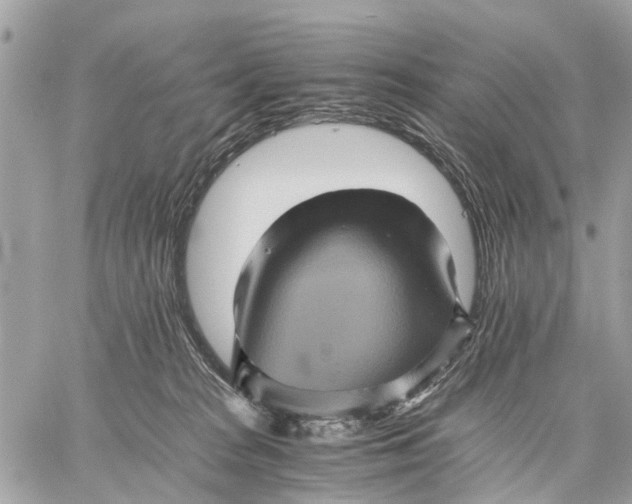 X0000058760277200510211705