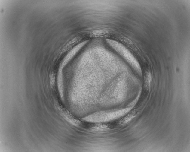 X0000058760278200510211705