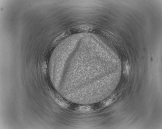 X0000058760279200510211705