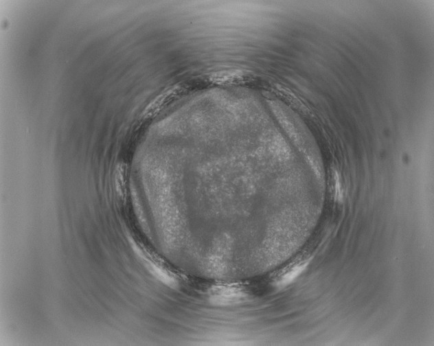 X0000058760280200510211705