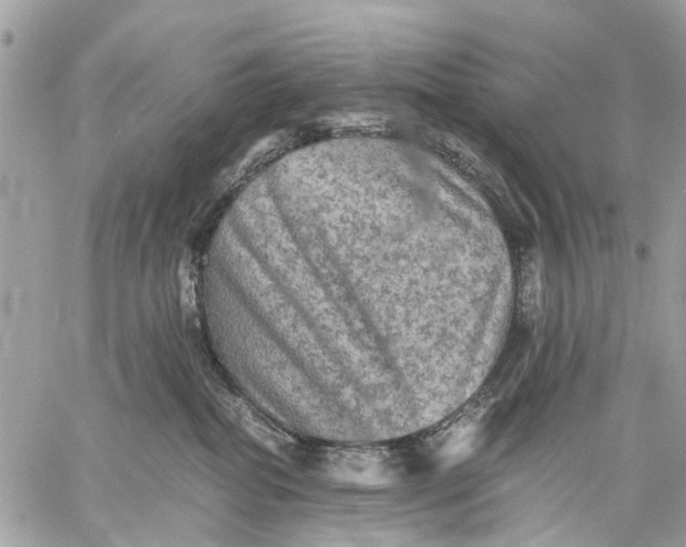 X0000058760282200510211705