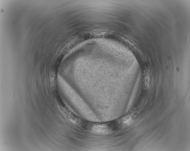 X0000058760283200510211705