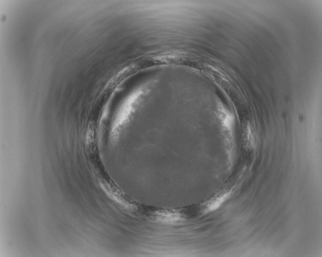 X0000058760284200510211705