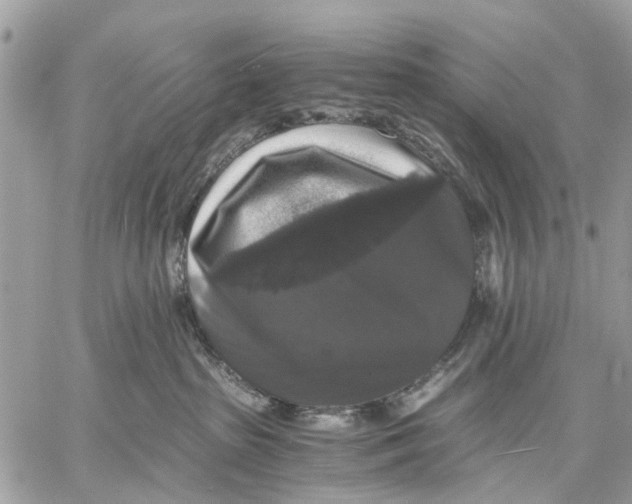 X0000058760285200510211705