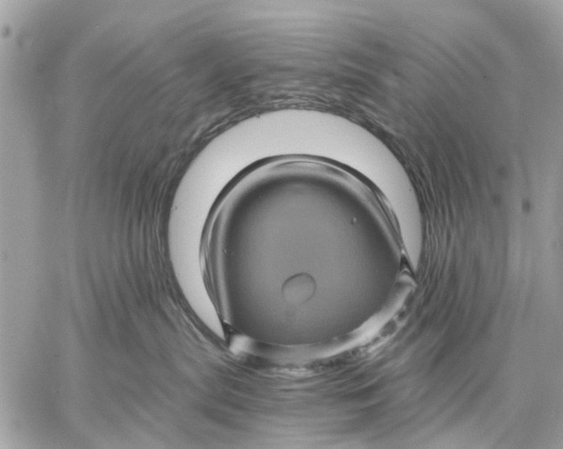 X0000058760287200510211705