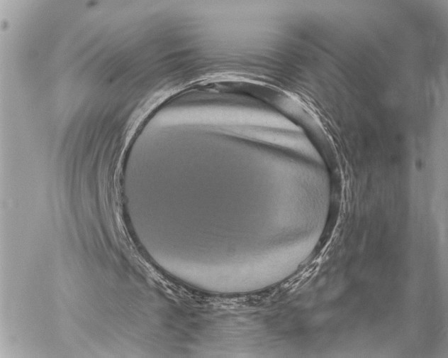 X0000058760289200510211704