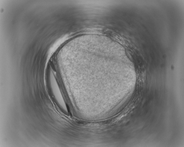 X0000058760294200510211704