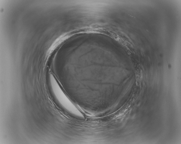 X0000058760295200510211704