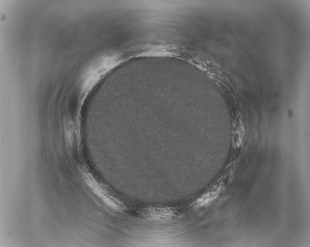 X0000058760296200510211704