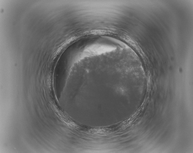 X0000058760297200510211704