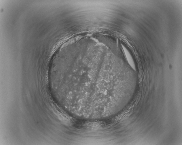 X0000058760299200510211704