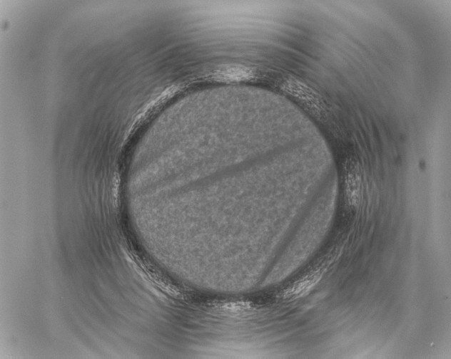 X0000058760304200510211704