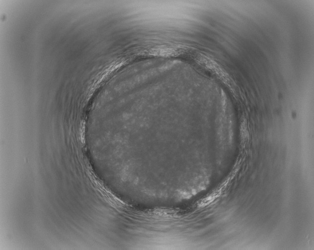 X0000058760305200510211704