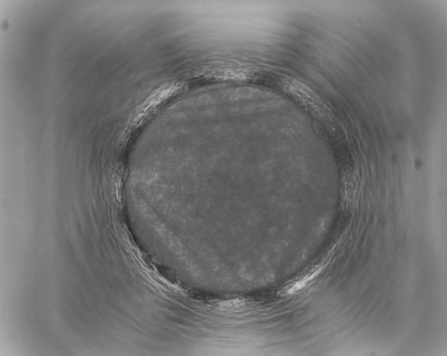 X0000058760309200510211704