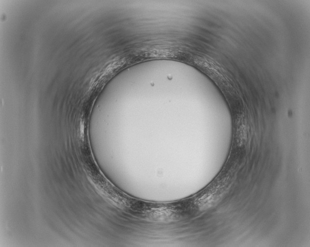 X0000058760310200510211704