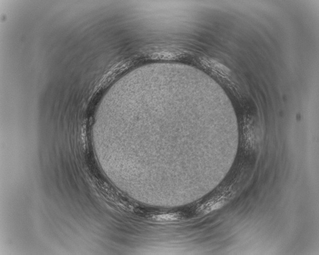 X0000058760312200510211704