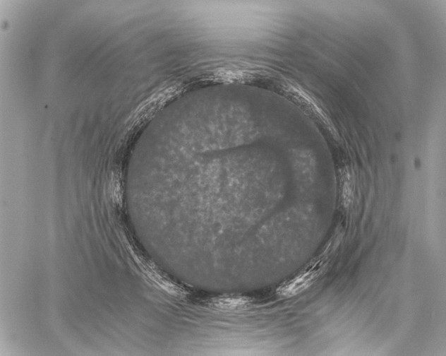 X0000058760313200510211704