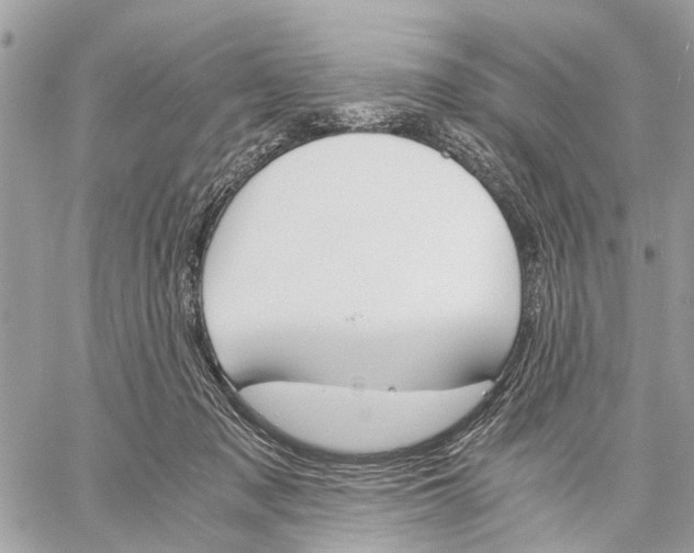 X0000058760317200510211704