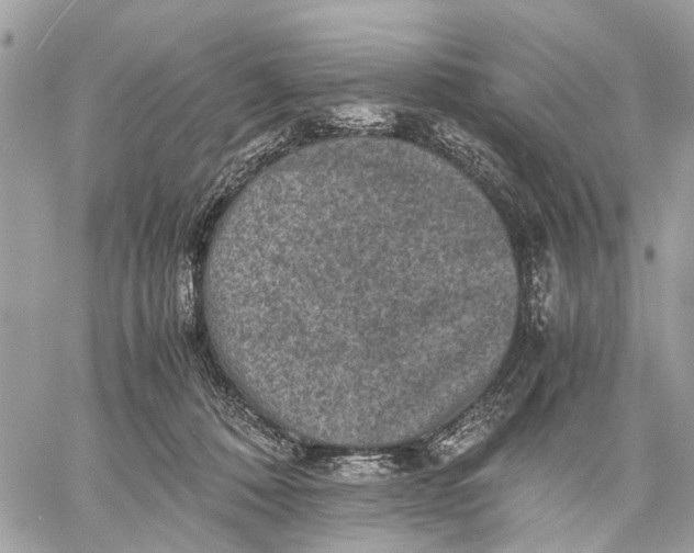 X0000058760320200510211704