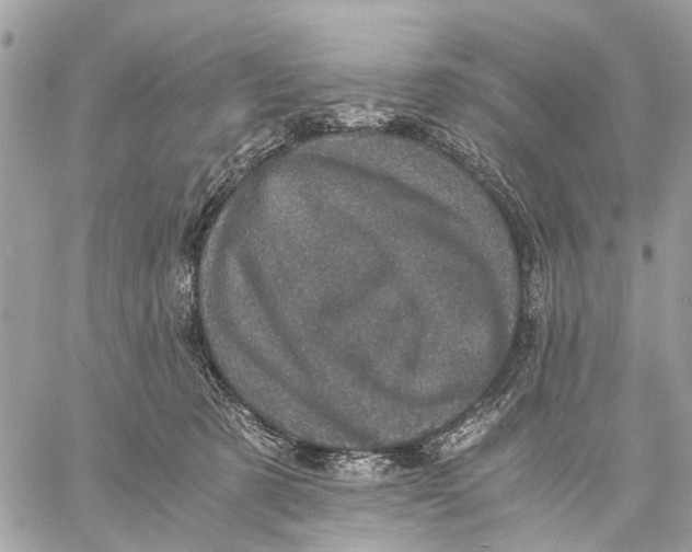 X0000058760321200510211704