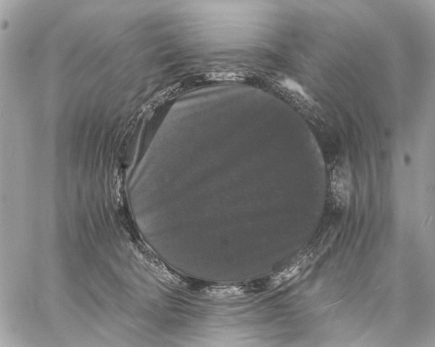 X0000058760322200510211704