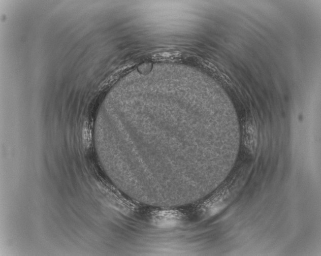 X0000058760324200510211704