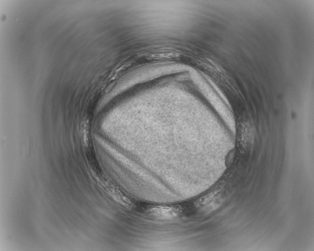 X0000058760326200510211704