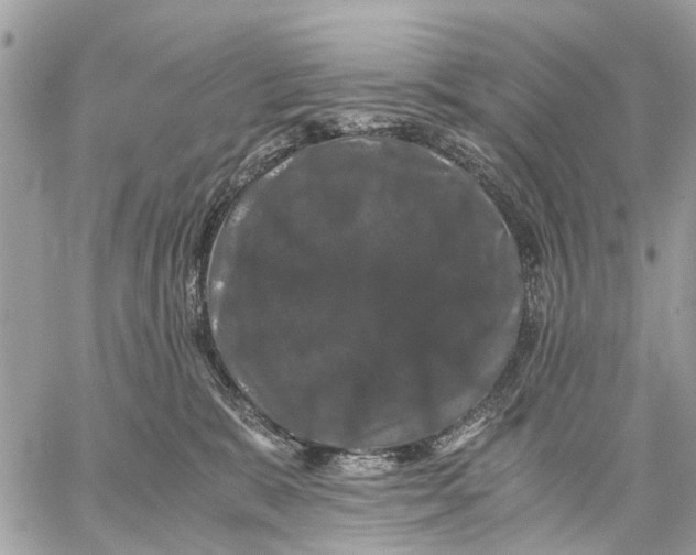 X0000058760327200510211704