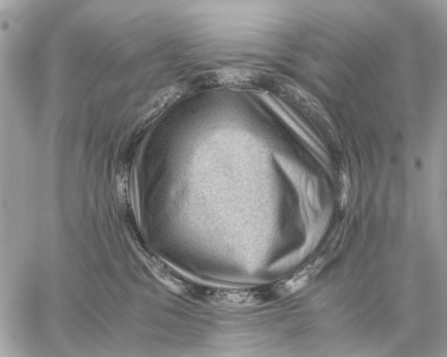 X0000058760329200510211704